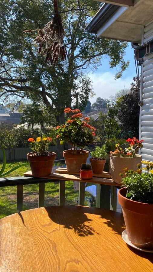 Homestay En-suite Guest Ryde/macquarie Park/eastwood