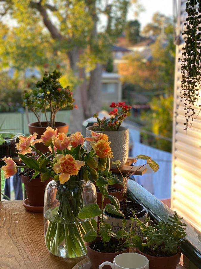 Homestay En-suite Guest Ryde/macquarie Park/eastwood Sydney